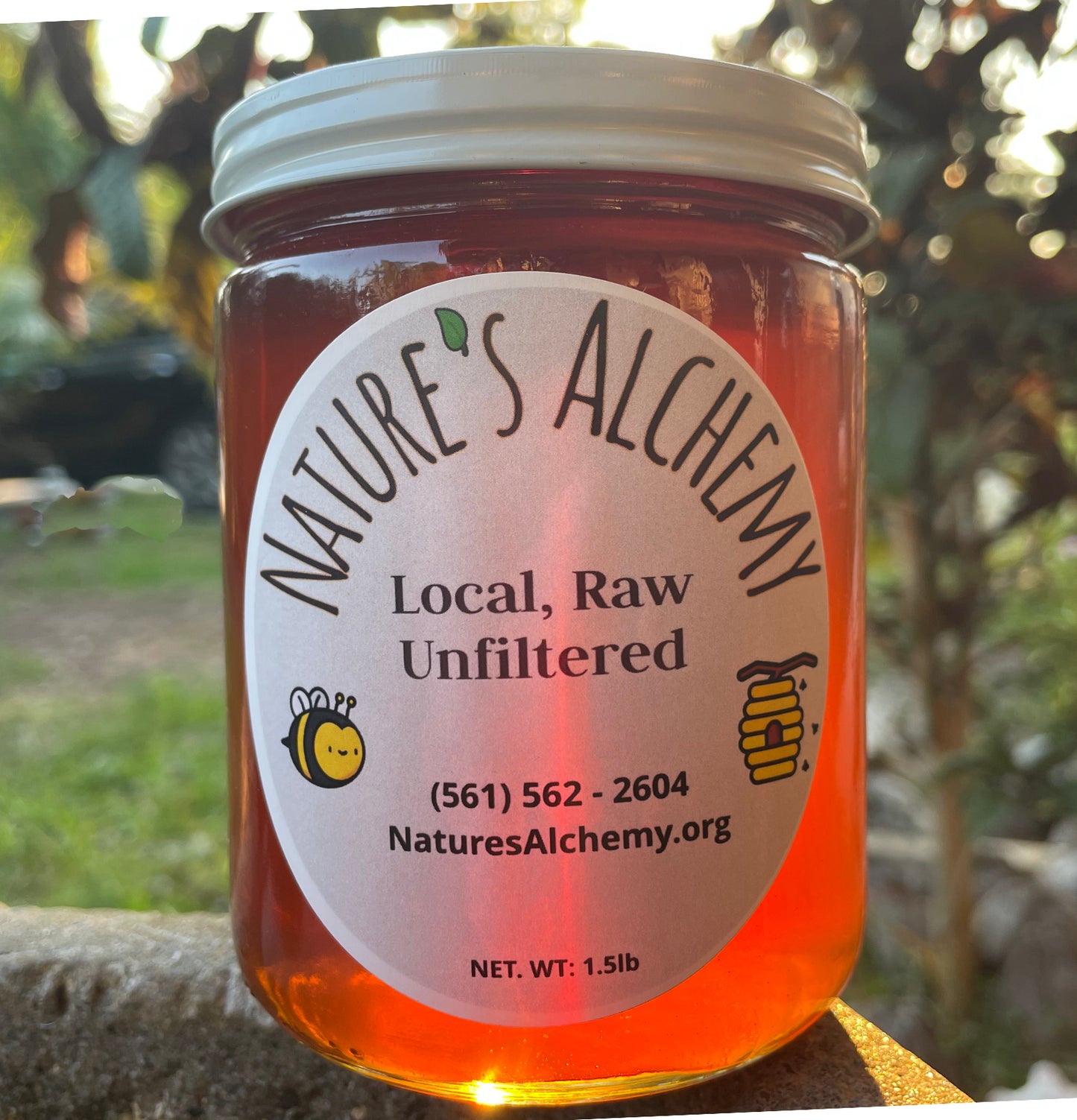 Local - Raw - Unfiltered Honey 1.5lbs